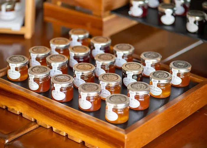 My Way & Events מלון פאטרה