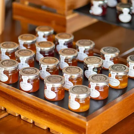 My Way & Events Hotel Patras